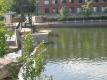 Winooski Falls, Summer 2009