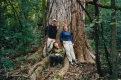 Vermont's Largest Tree