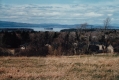View from Spear Street