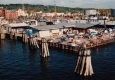 Ferry Dock