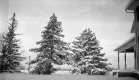 Snow covers Fletcher Farm