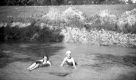 Bathing beauties 