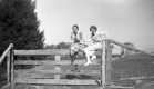 Women on a fence