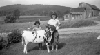 Two girls with Ayrshire Calf