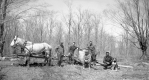 Farmers in the field