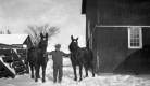 Young man with two horse at Fletcher Farm