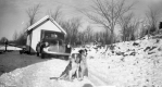 Dogs and truck at Fletcher Farm
