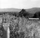 Wayside Bench