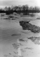 Wetland Plants and Small Lake/Pond