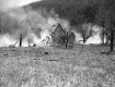 House Fire