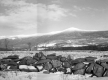 Stonewall in front of Potato Hill