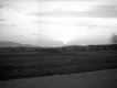 Dirt road and grassy clearing