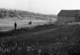 A man on the Oliver Bascomb Farm