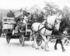 Horse drawn carriage in July of 1977
