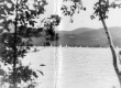 Sailboats in front of a forested hill
