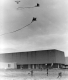 Flying Kites