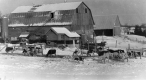 Farm scene
