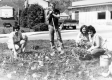 Working in the garden