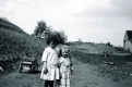 Fun in the Farmyard