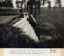 Concrete Bridge over Allen Brook