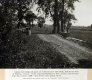 Concrete Arch Bridge on Allen Brook