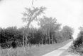 Dirt Road