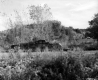 Foundation of Ice House