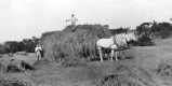 Hay Wagon
