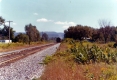 Bicentennial Train near Williston