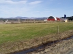 A View of the Whitcomb Barns