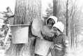 Inspecting sap buckets