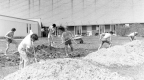 Shoveling for Green Up Day