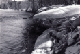 Bank of a River