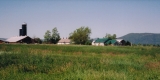 Farm Scene in Bridgeport