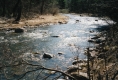 A river with leafless deciduous trees