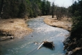 A river surrounded by dead grass and trees
