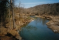 Dead trees and grass on the sides of a river