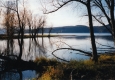 Water, hill and leafless deciduous trees
