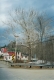 Gas station and snow-dusted trees