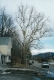 The Ira Allen House