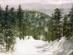 A Ski Slope at Smugglers' Notch