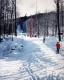 A Line of Skiers