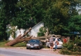 A Fallen Tree Disaster