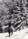 Two Figures Enjoy Skiing