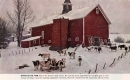 Winter on the Farm