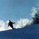 Brochure Photo of Skier on Madonna Peak