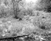 Appealed Property in Brattleboro