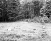Appealed Property in Brattleboro