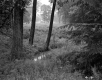 Appealed Property in Brattleboro