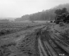 Russell Y. & Robert G. Thomas Property